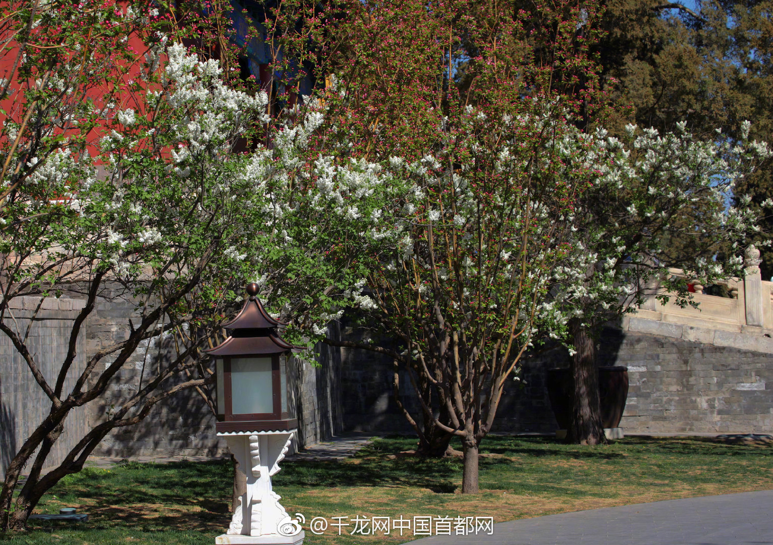比起险胜我更喜欢躺赢 雪佛兰科鲁泽上市四重礼_CN2服务器不绕路