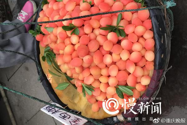 最受尊敬的100位日本人_CN2服务器免备案