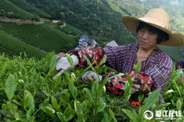 江苏银行一季度净利增14.4%,去年零售贷款同比增四成_勒索防护云电脑