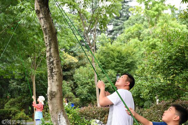倪妮靠金色连衣裙美出新高度_CN2服务器哪家好