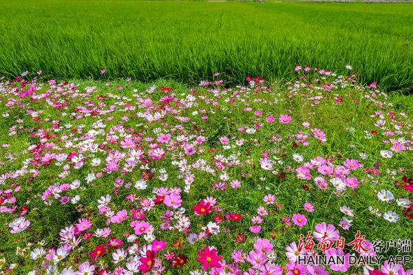 矮个子男人真是太太太太太“卑微”了_挂机宝淘客