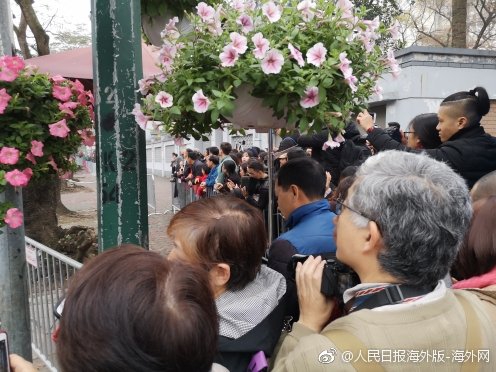 请问日常如何穿小黑裙？_云电脑笔记本接入