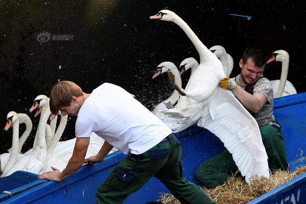 章子怡一袭红裙摇曳生姿 与汪峰贴身热舞_挂机宝单线