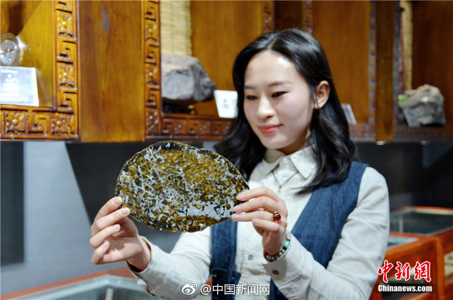 人物志之SN.XiaoAL——雄狮壮志之心