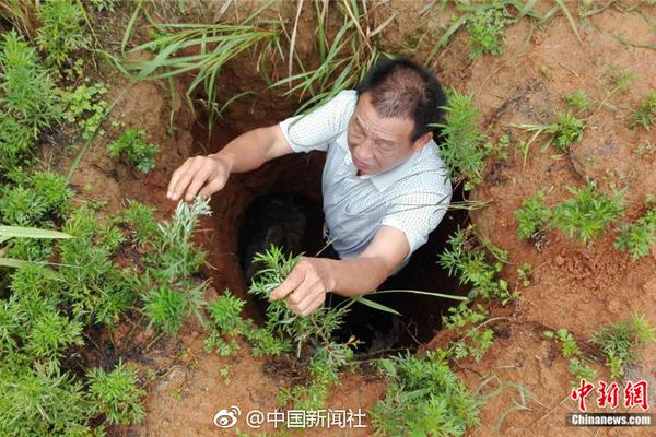 不要钱可以开通域名店铺_云服务器4核8G