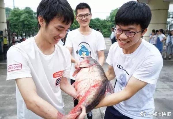 中信证券：“盈利底”深度已明，经济将延续企稳态势_直播云服务器