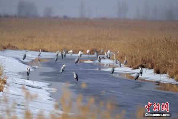 申花工作人员当着小球员面抽烟 绿城日籍教练吐槽_云电脑设计