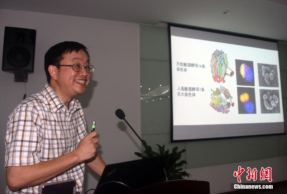 网站和备案域名到期后不再使用应该怎么办？被劫持到博彩网站应该怎么处理？_企业邮箱
