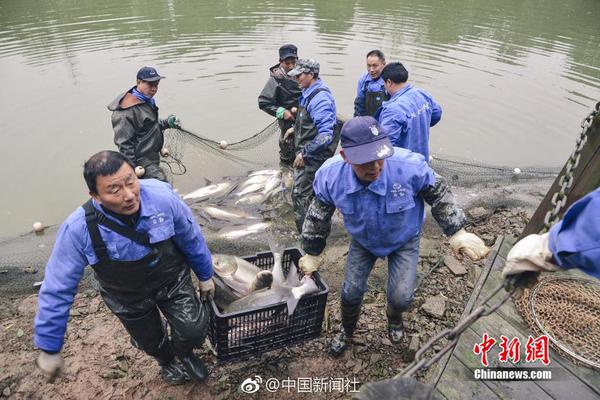 民主党大会严正以待迎奥巴马_9929中小企业