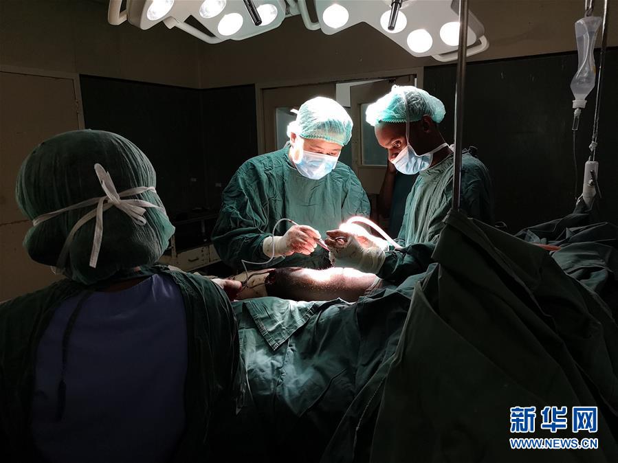 特种兵四年前救下蜂鸟 结下春天的约定_云桌面