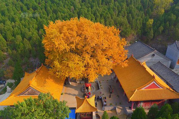 南京珍珠泉，地下泉水冒出似明珠