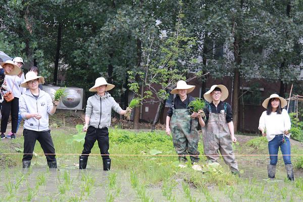 马丁贝利新书证实凡高当年妓女情人死于跳河自杀_挂机宝免费试用
