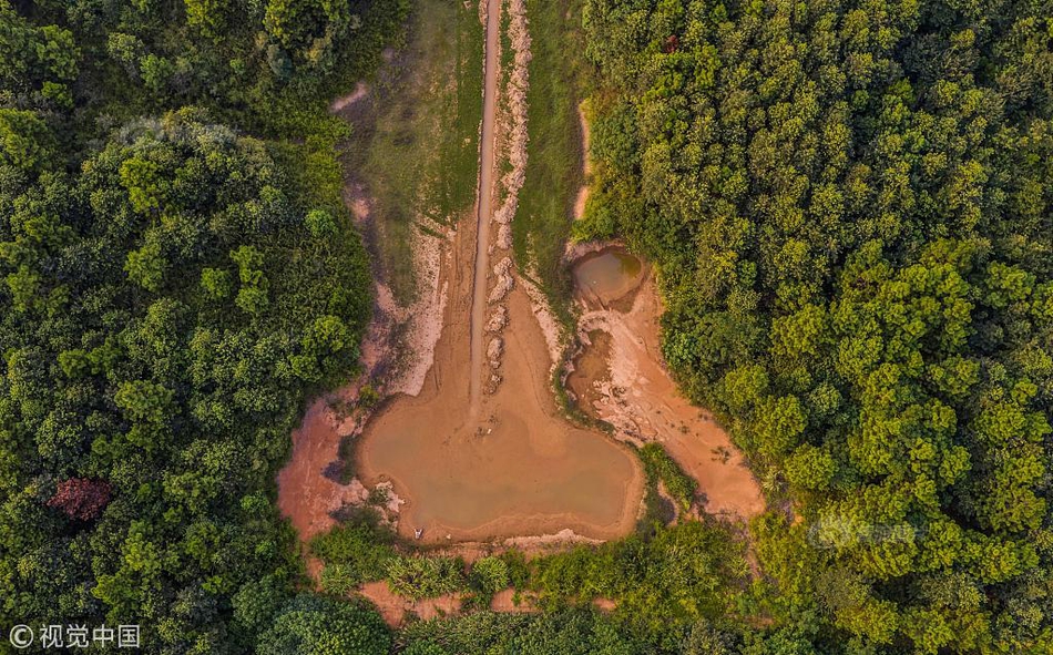腾格里沙漠里的80后：把沙漠种成“花海”_在线教育