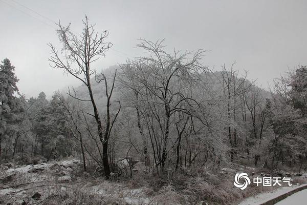 人物志之SN.XiaoAL——雄狮壮志之心_CN2服务器跨境电商
