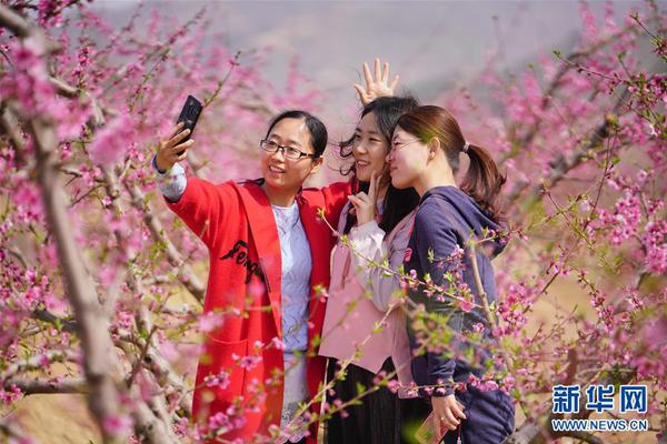 西甲-曝皇马已同热刺真核达口头协议 今夏将赴伯纳乌_云服务器问题