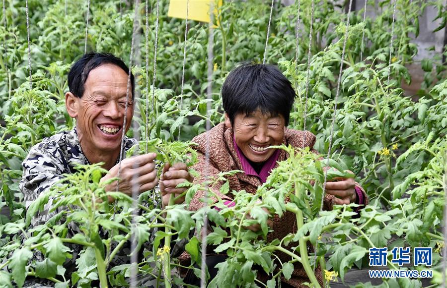 国民初恋颜?她这是要复制沈月的走红奇迹了?_云服务器4核16G