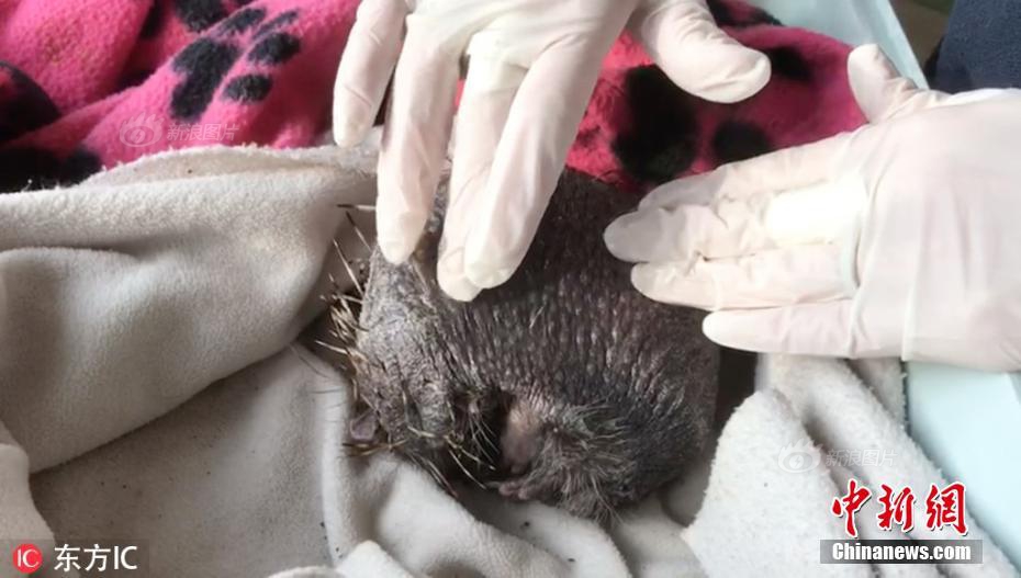哪些习惯影响牙齿生长？_教育云服务器