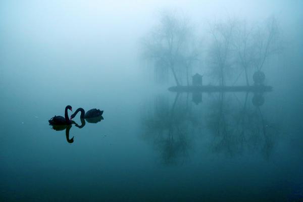 内蒙古云服务器哪家好_云电脑并发