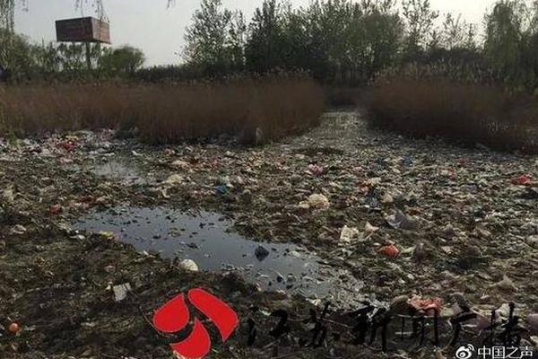 豆乐儿歌自制 更新至100集_云电脑5G