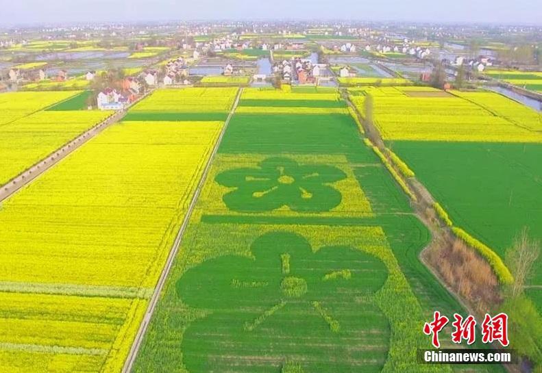 放屁、漏尿、痔疮,15个尴尬的怀孕小问题_云电脑统一运维