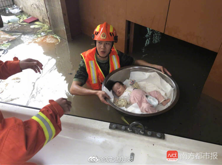 今天起世园会开展啦！九图教你辨别常见花卉_9929建站首选