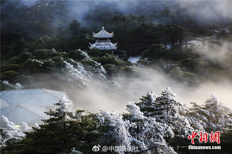 外国网友又被中国挖掘机技术惊呆了:这是杂技吗？_CN2服务器高峰时段
