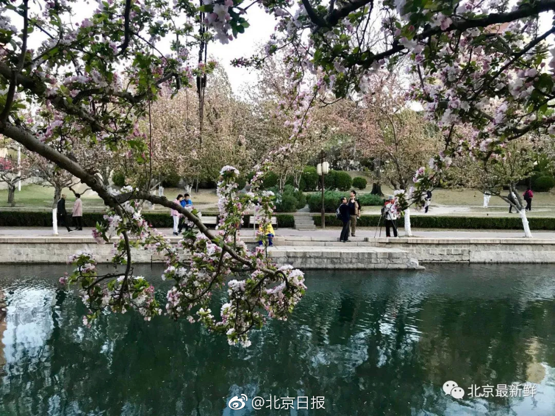董其昌 何以影响三百年的中国书画史？_大数据云服务器