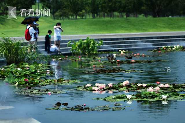 天秤座：我不接受你的抱歉和离别_9929流媒体解锁