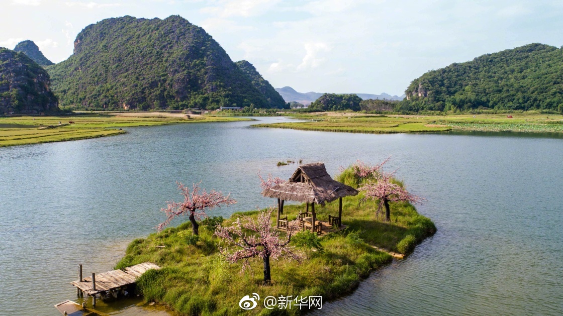 袁立晒抱宝宝照片引猜测_云游戏平台