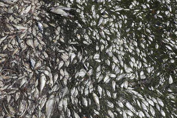 日本住宅空置率创新高_百度云BCC