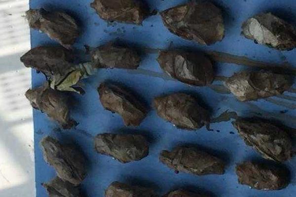 去哪家金融机构待遇最好?这里的人均月薪超10万!_云电脑批量管理