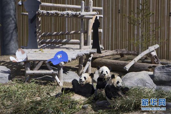 蔡英文上街抗议600万台湾民众 玩哪出？_云电脑定制