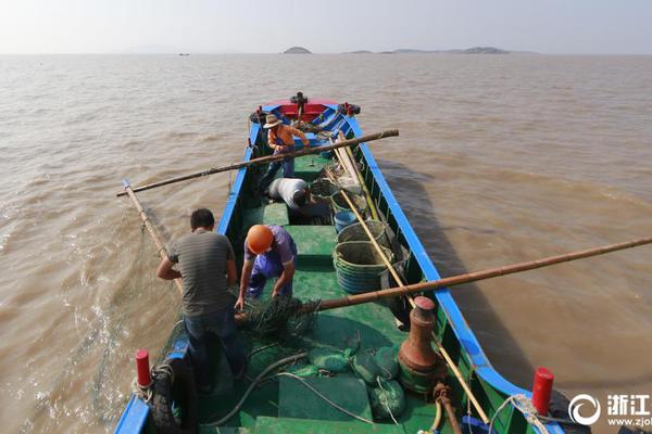 哪些行业最赚钱?增长最快?毛利率最高?8张图速读_挂机宝自动开通