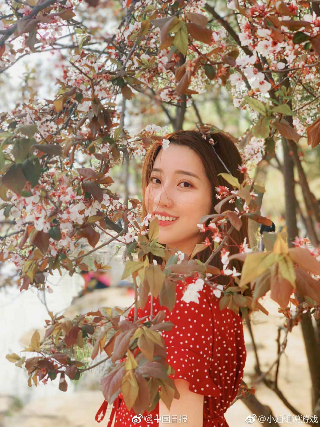 百花村收购“踩雷”临ST，国企或变身民营_云服务器物理机
