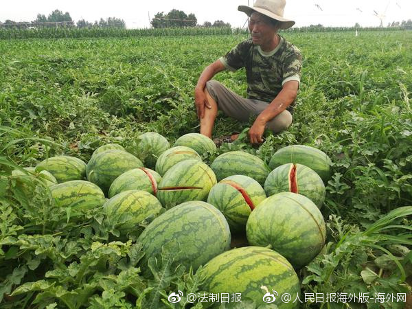男子打造卡车泳池 把海滩度假搬回家