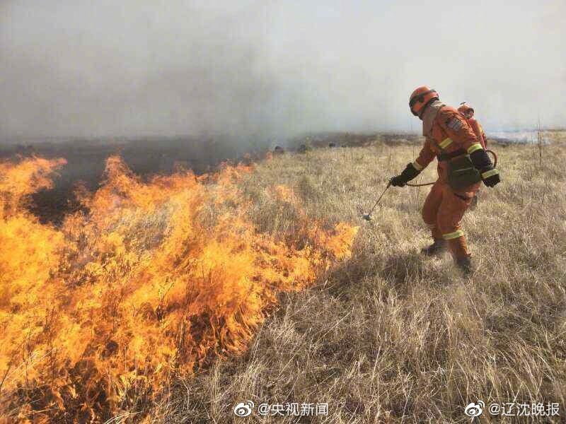 赵丽颖产后首晒美食 积极瘦身为复出做准备_9929数据库服务器