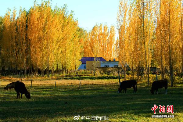 菲律宾发现新人类物种:距今超5万年,疑似人类近亲_挂机宝采集