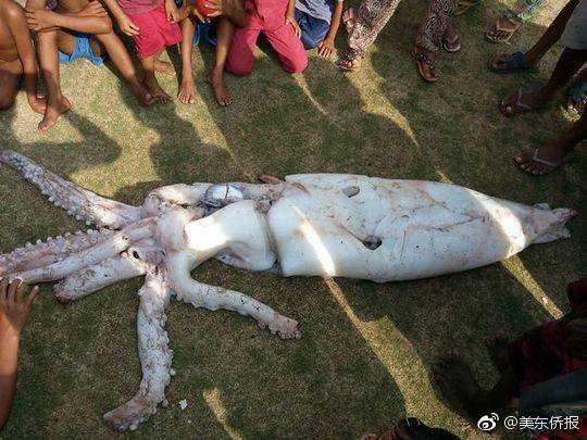 关乎你钱包的北京新利好_挂机宝开放端口