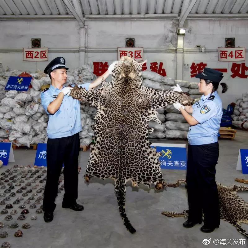 欧冠-萨拉赫传射 利物浦总比分6-1晋级_挂机宝代码服务器