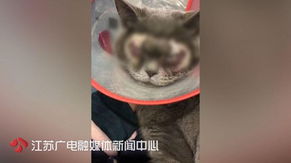 异性之间，这些增进感情的小技巧，往往对男人很受用，不妨试试看