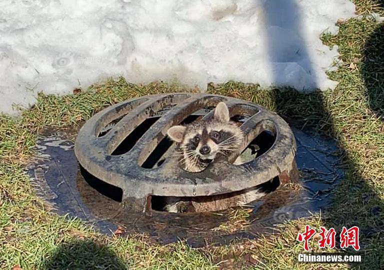 千里共婵娟的苏轼苏辙兄弟_云主机