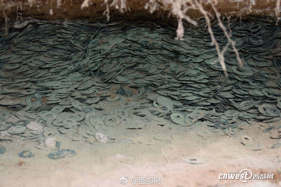 起底 “神药”曹清华胶囊：一盒1408元，很多老人都在吃_9929解锁ChatGPT
