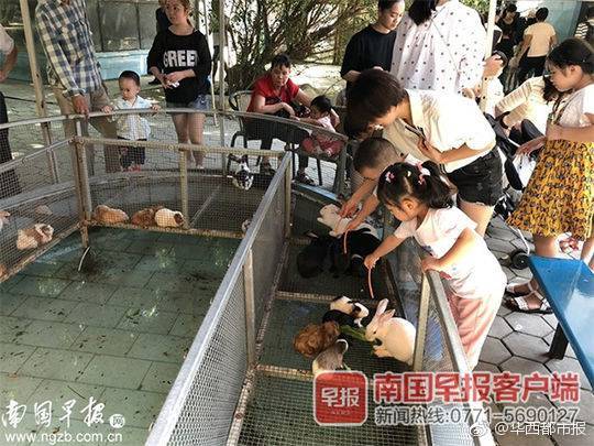 采用TNGA 全新雷凌抢先拍_挂机宝做网站