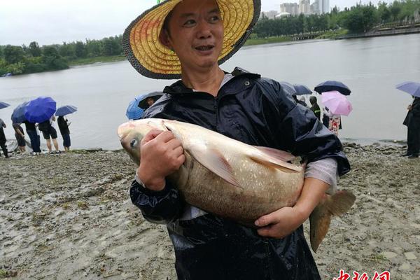 往日不再6月迎来免费更新_挂机宝爬虫
