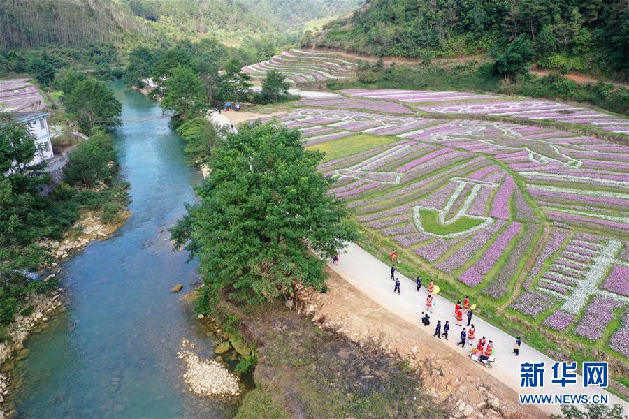 企业邮箱系统有哪些_CN2服务器回国线路