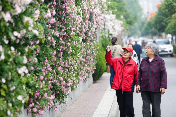 拼多多刷单调查：1单低至1.5元 守规的商家活不下去_CN2云主机