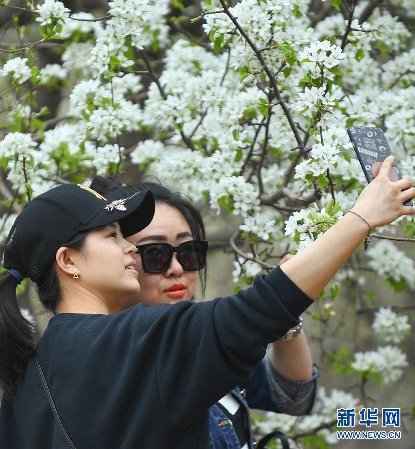 合众人寿去年净亏8.5亿 保费业务收入缩减超过3成_CN2服务器丢包率