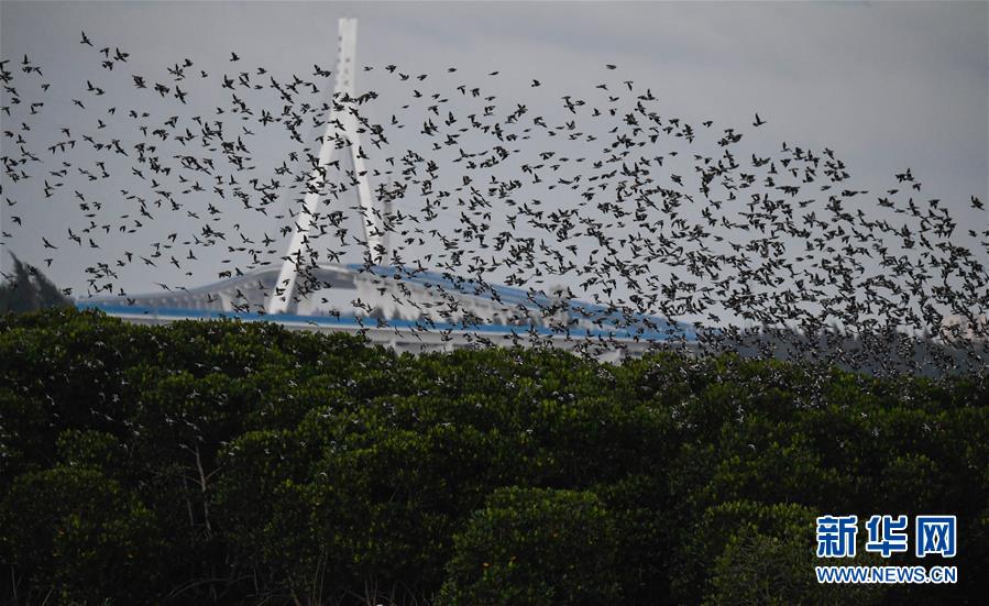 传闻下代iPhone将标配快速充电器 希望这次是真的_科学计算云服务器