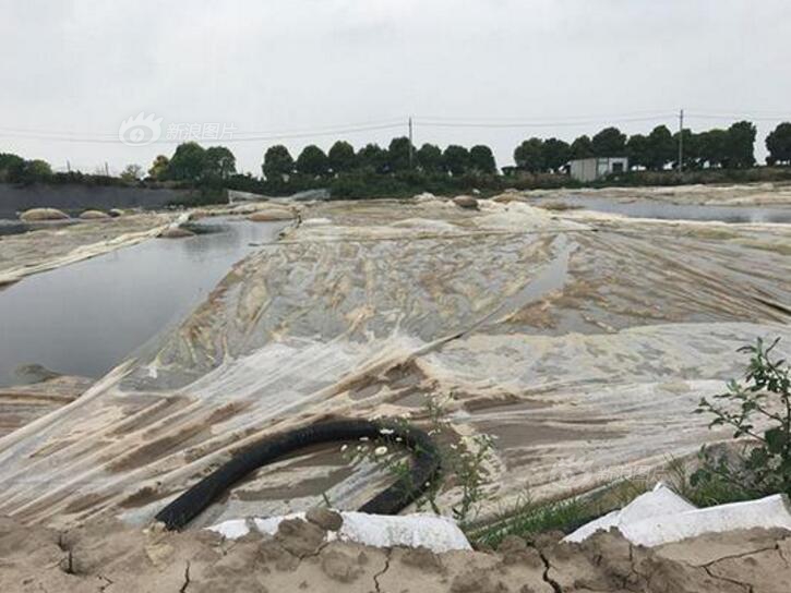马蜂窝刚被监管部门约谈又陷裁员风波 上市之梦再次搁浅?_US CN2 server