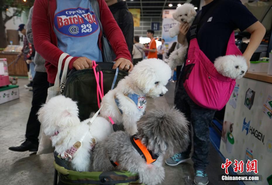这名女子已经走遍167个国家，将成为首个环游世界的黑人女性